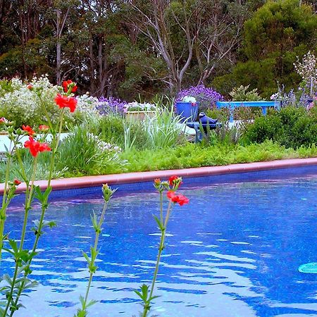 Lemonade Creek Cottages Lorne Eksteriør billede