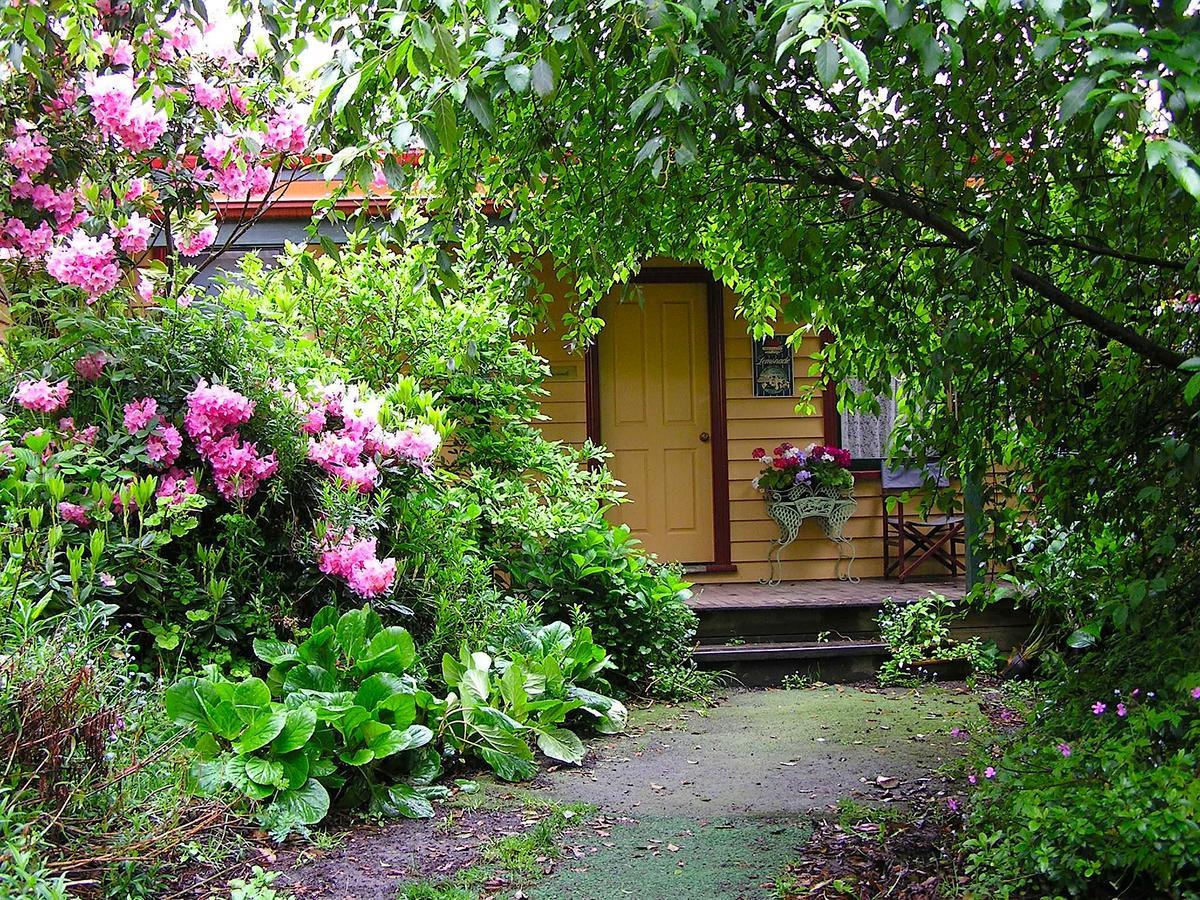 Lemonade Creek Cottages Lorne Eksteriør billede