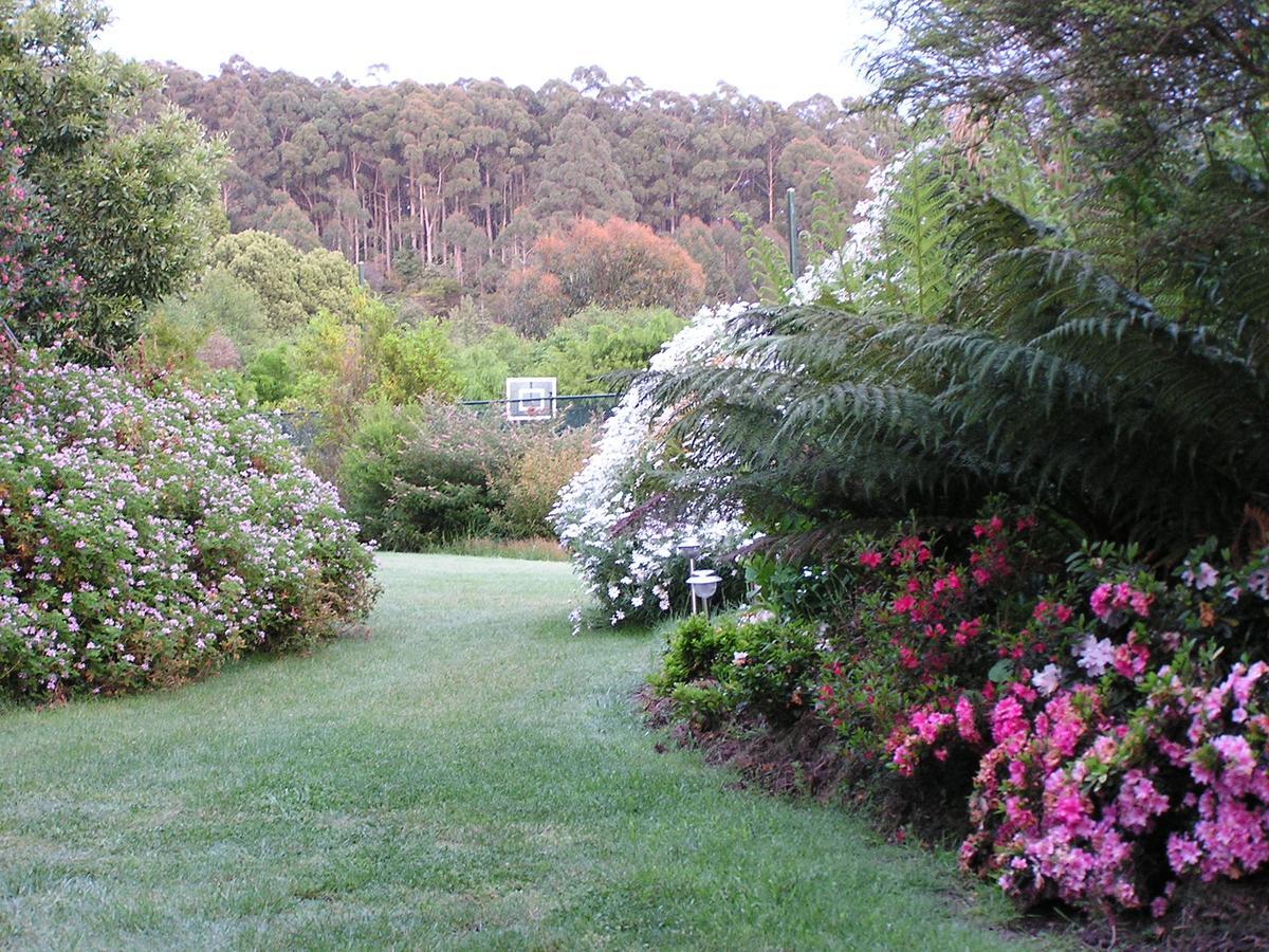 Lemonade Creek Cottages Lorne Eksteriør billede
