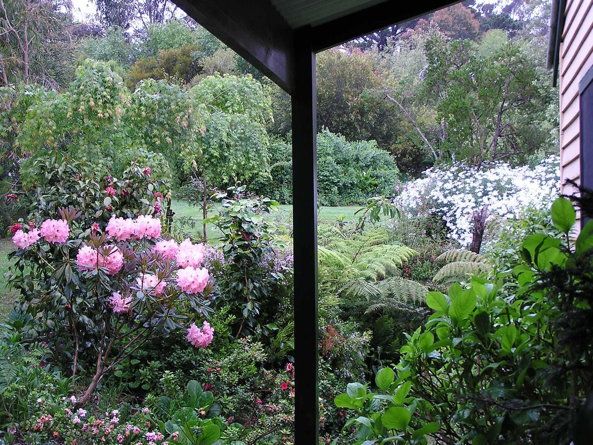 Lemonade Creek Cottages Lorne Eksteriør billede