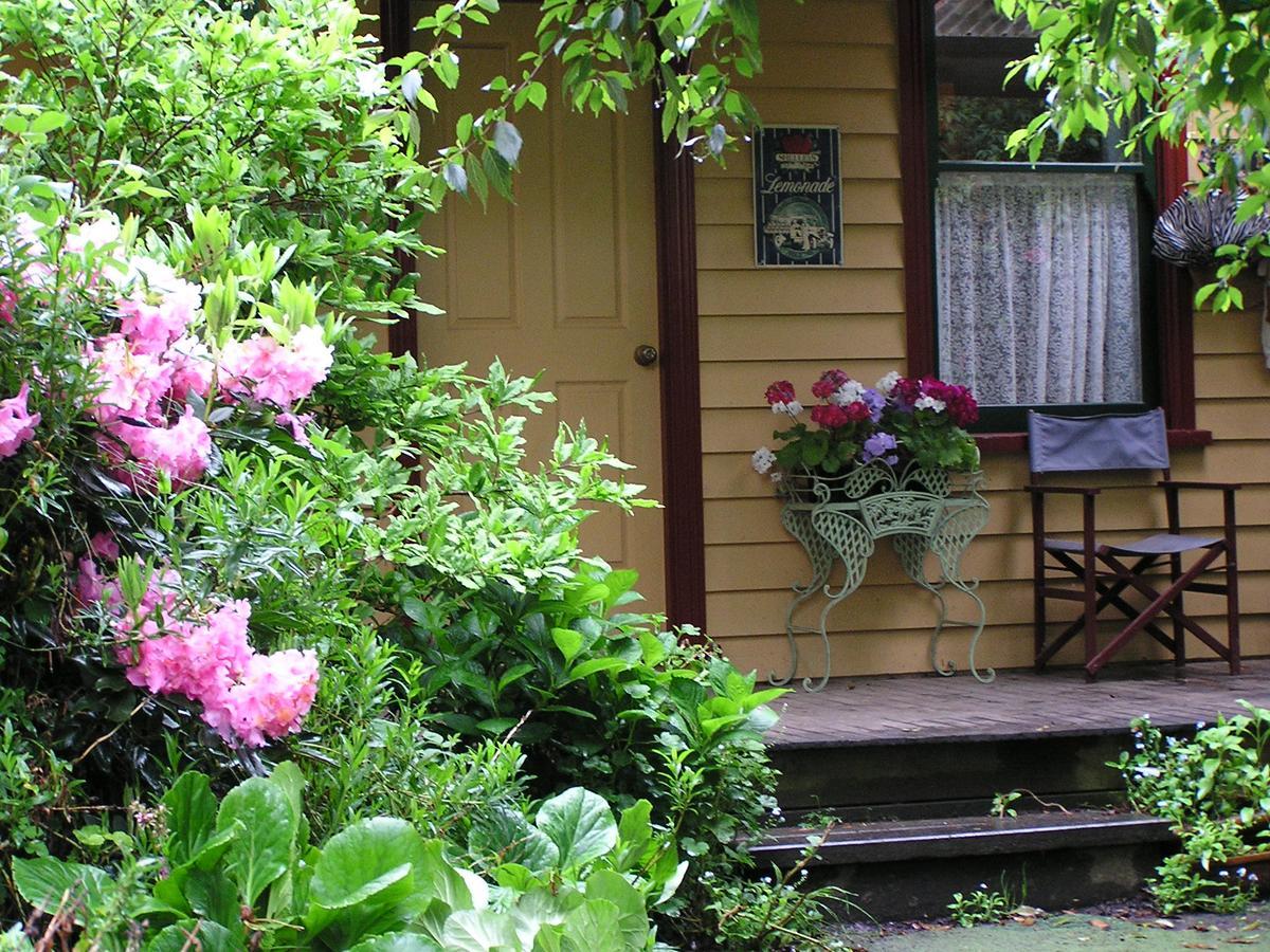 Lemonade Creek Cottages Lorne Eksteriør billede