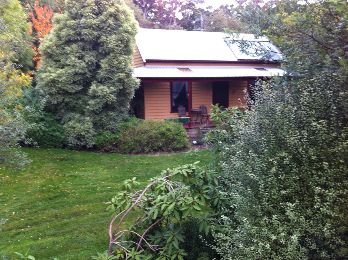 Lemonade Creek Cottages Lorne Eksteriør billede