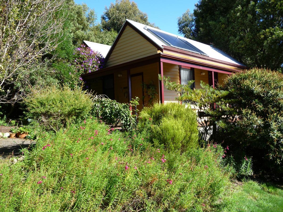 Lemonade Creek Cottages Lorne Eksteriør billede
