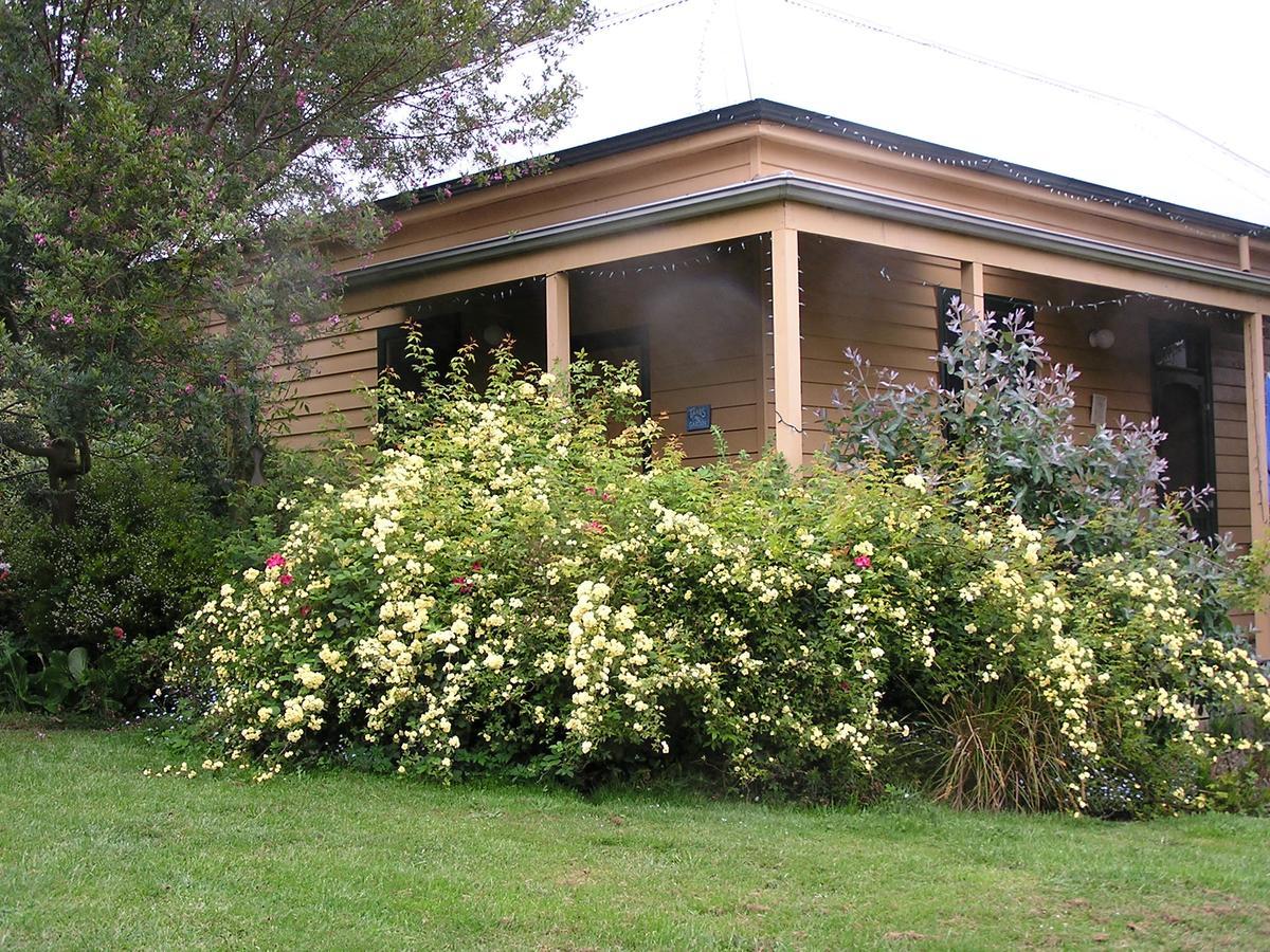 Lemonade Creek Cottages Lorne Eksteriør billede