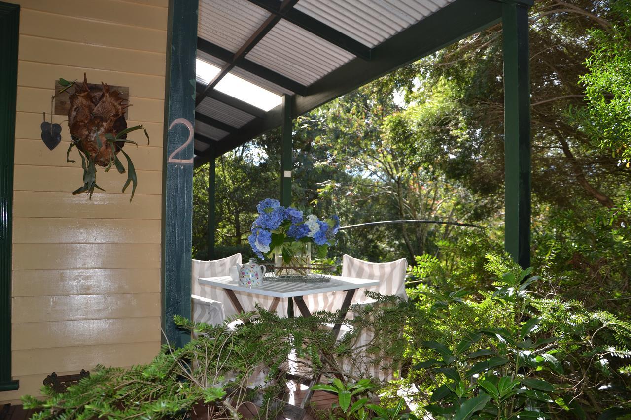 Lemonade Creek Cottages Lorne Eksteriør billede