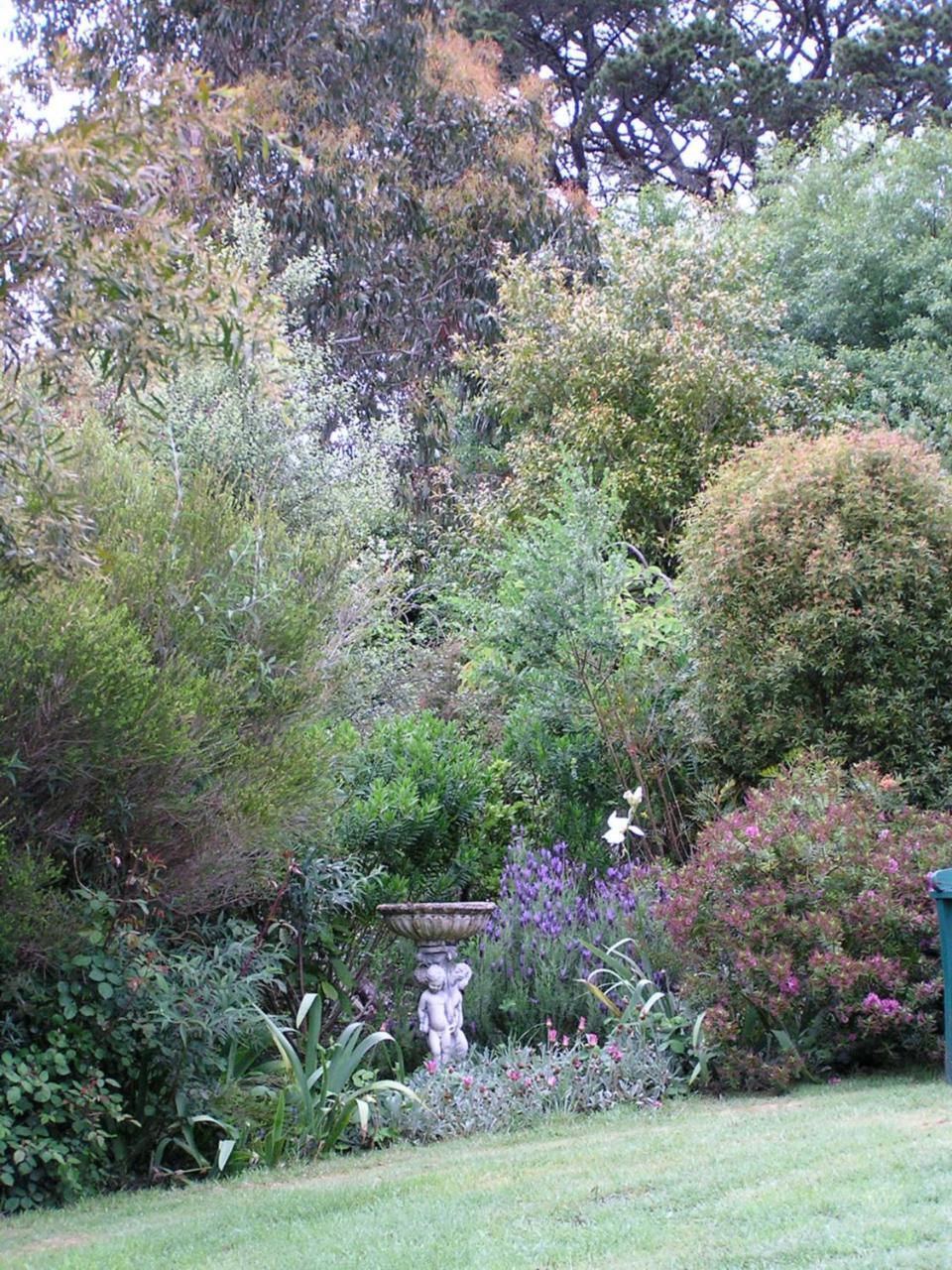 Lemonade Creek Cottages Lorne Eksteriør billede
