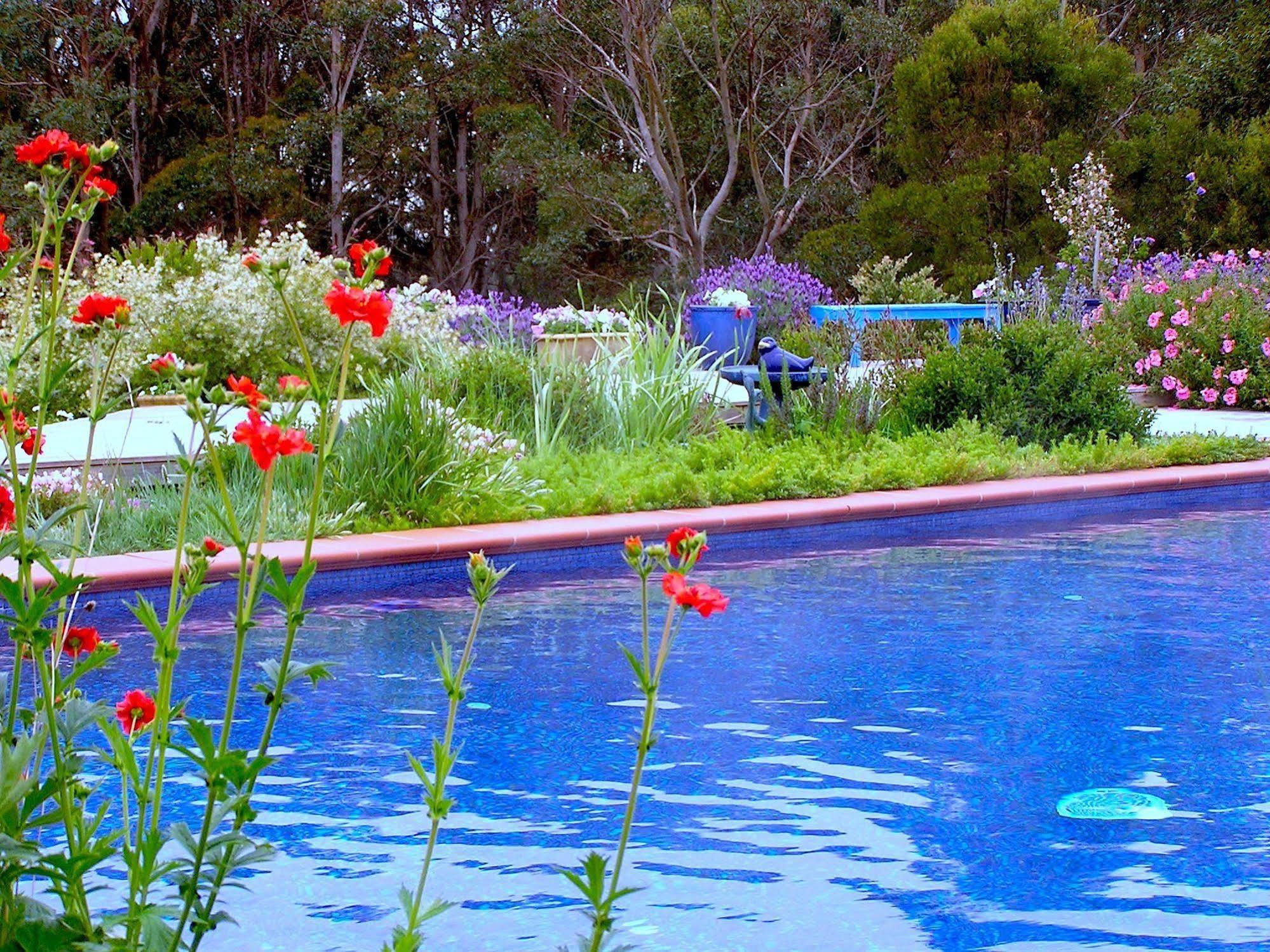 Lemonade Creek Cottages Lorne Eksteriør billede