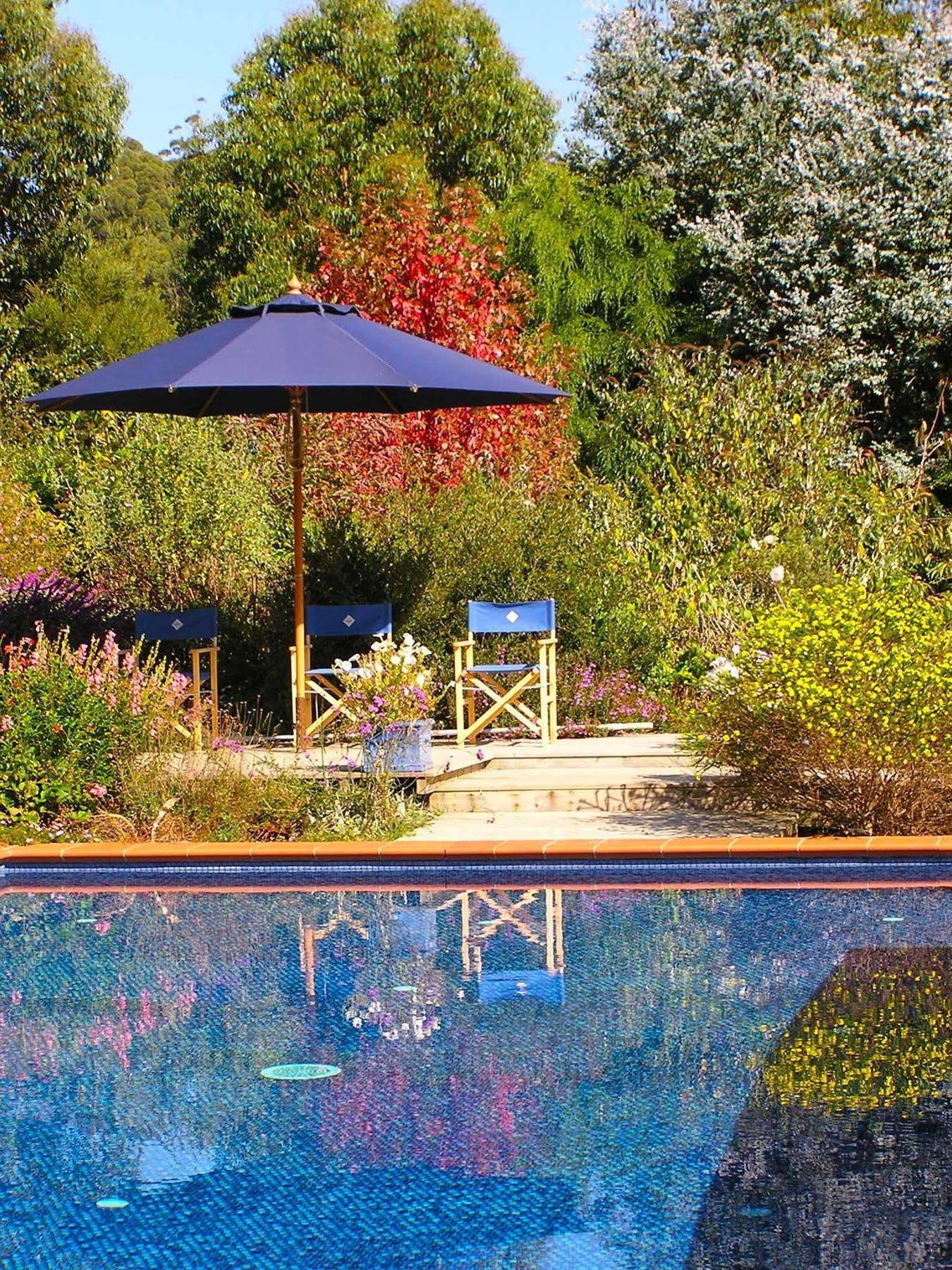 Lemonade Creek Cottages Lorne Eksteriør billede