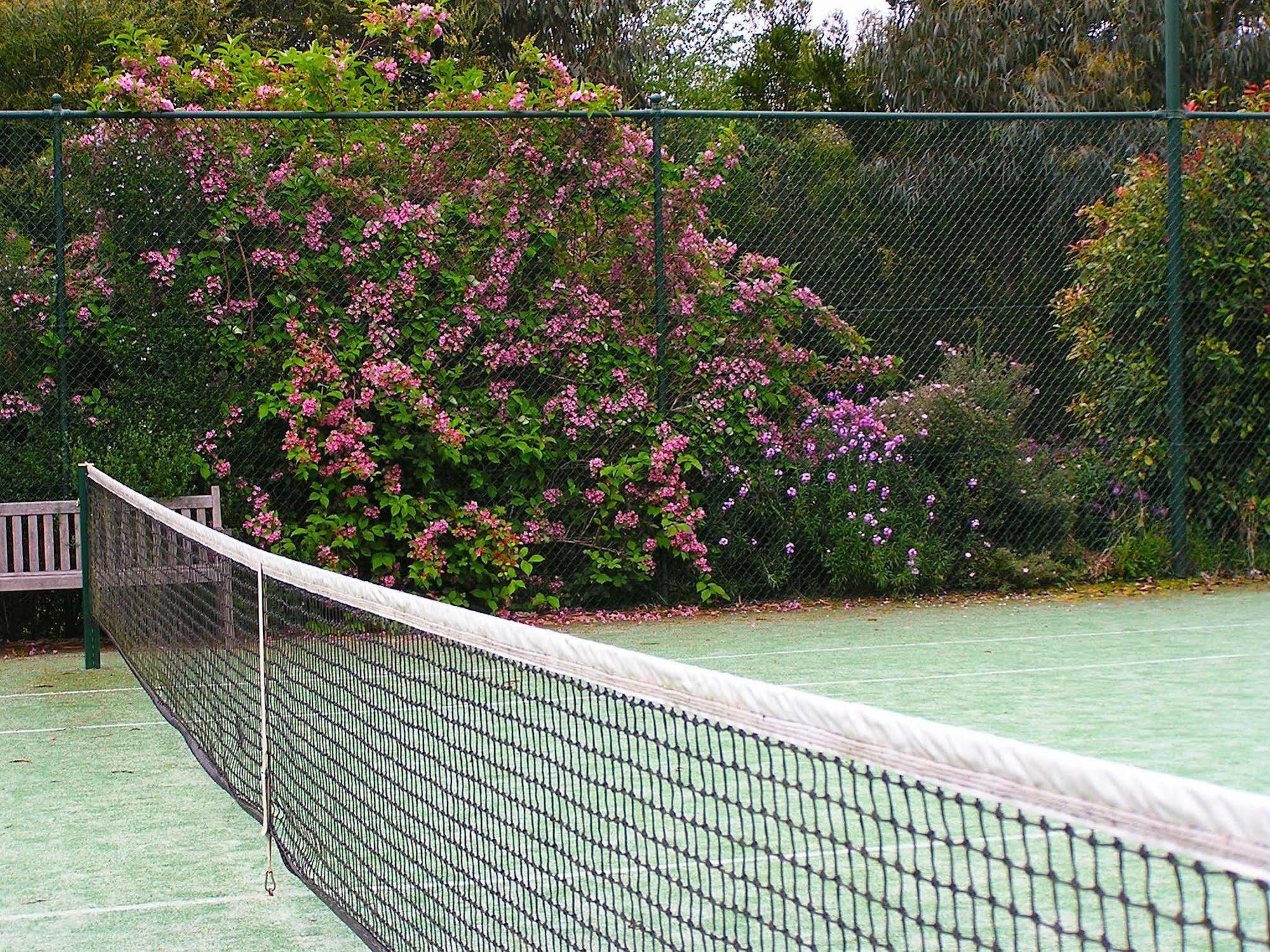 Lemonade Creek Cottages Lorne Eksteriør billede