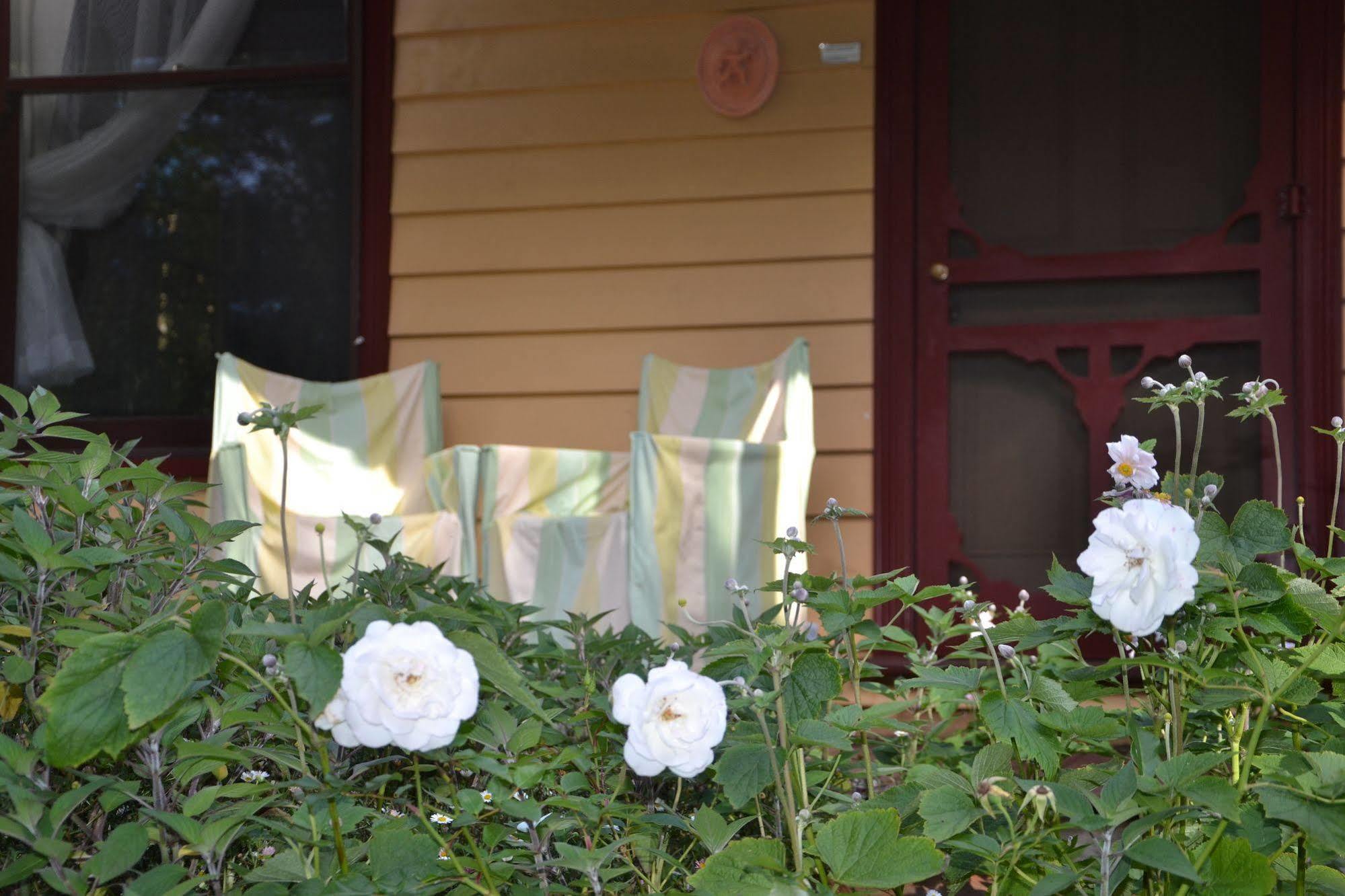 Lemonade Creek Cottages Lorne Eksteriør billede